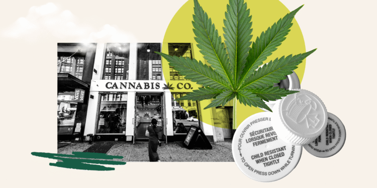 ### Pot Has a Plastic Waste Problem: Here Are Some Budding Solutions