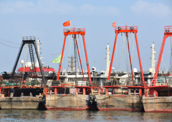China Dominates ‘Dark’ Network Behind Global Fishing Crisis