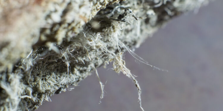 Forever Chemicals Discovered in U.S. Air—First-Time Ever!