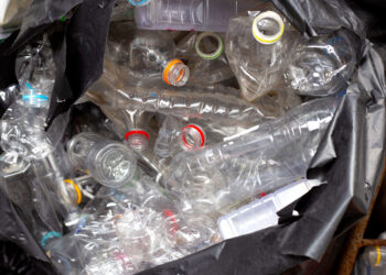 Mother Updates on Inventor Son Julian Brown After Going Dark