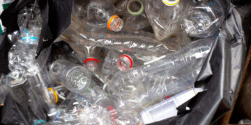 Mother Updates on Inventor Son Julian Brown After Going Dark