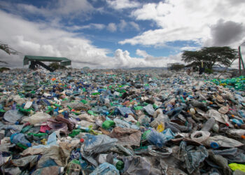 States Play a Crucial Role in Controlling Plastic Waste, but Few Have Acted