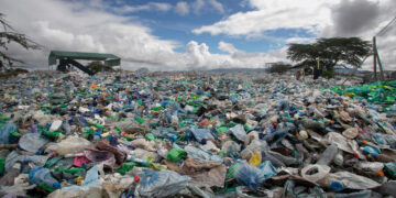 States Play a Crucial Role in Controlling Plastic Waste, but Few Have Acted