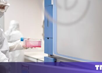 Harvest Day at Karolinska: Stem Cells Near Mass Production