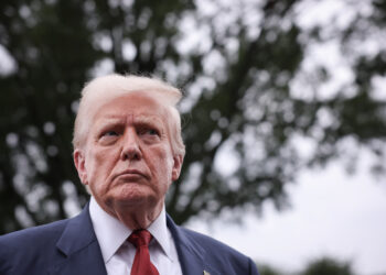 Trump-Putin Meeting: Russia’s Mineral Move Revealed