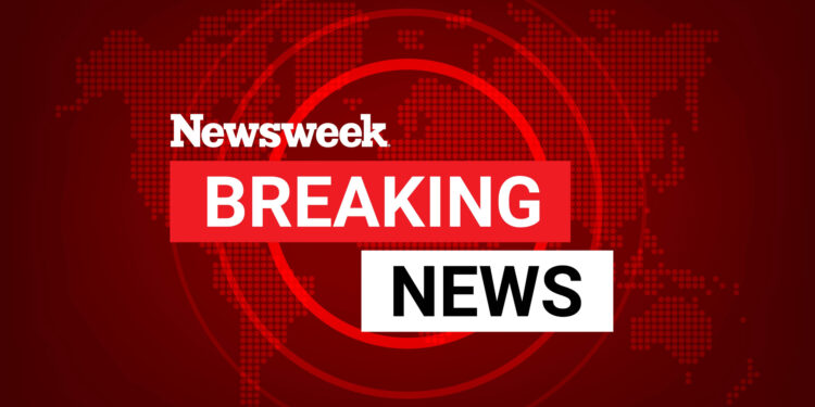 Estonia’s Internal Security Service (ISS) announced that a Ukrainian attack drone had exploded in a farmer’s field on Estonian territory. The ISS Director General, Margo Palloson, stated on Tuesday, August 26, that the drone was aimed at Russian targets and not at Estonia.