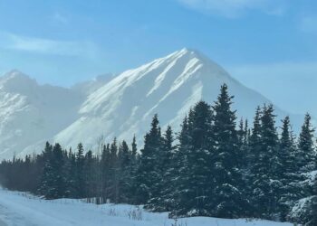 Trump and Putin’s Summit in Alaska: Beauty vs Vulnerabilities