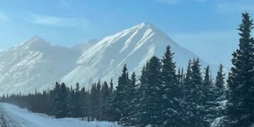 Trump and Putin’s Summit in Alaska: Beauty vs Vulnerabilities