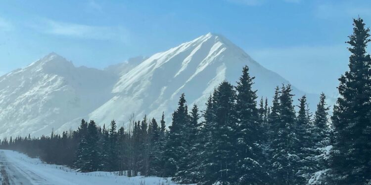 Trump and Putin’s Summit in Alaska: Beauty vs Vulnerabilities