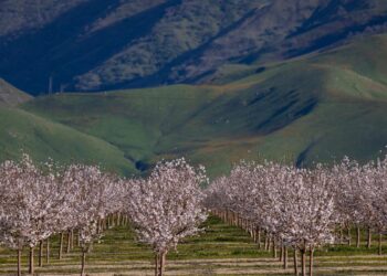 “Never seen anything like this”