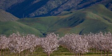 “Never seen anything like this”