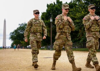 Trump Announces Night Patrols in D.C. With Police & National Guard