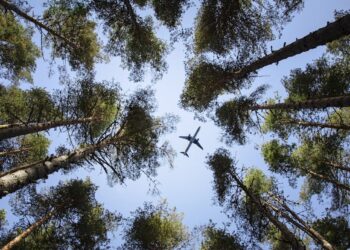 Sustainable Aviation Fuels Facing Cutdowns