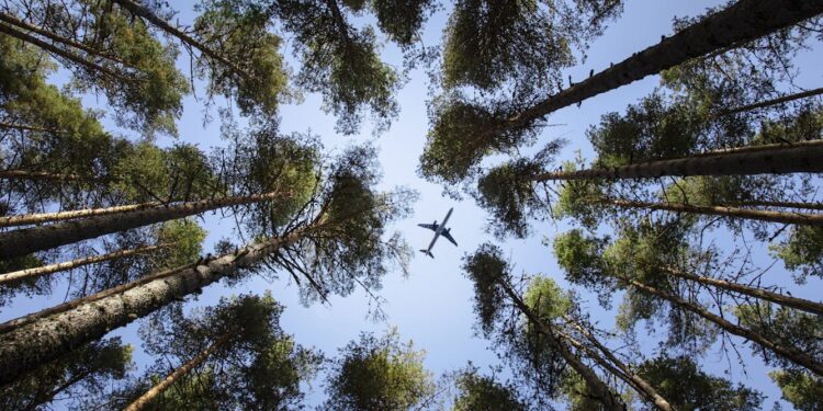 Sustainable Aviation Fuels Facing Cutdowns