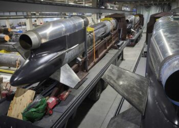 Ukraine Unveils New Flamingo Missile: What to Know