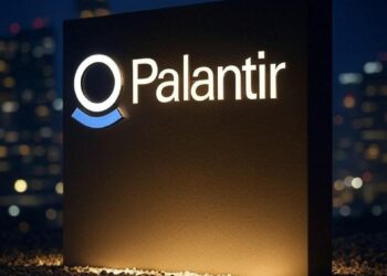 Palantir Shares Could Plunge 77%, Says Expert
