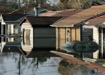 Katrina: The Crisis That Predicted Our Future