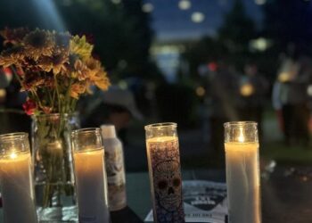 Sniper Strikes Dallas ICE: 3 Victims Identified