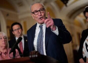 When will the Senate vote on a government shutdown?