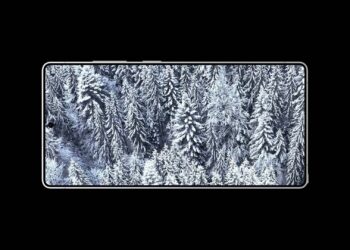 Samsung Galaxy S26 Ultra vs iPhone 17: Who Wins the Display Battle?