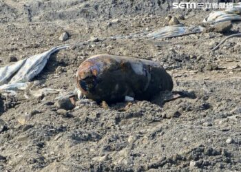 Workers Discover Another Unexploded Bomb at TSMC’s Construction Site!