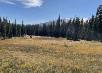 Toxic Mercury Found in Colorado Wetlands – What Does It Mean?
