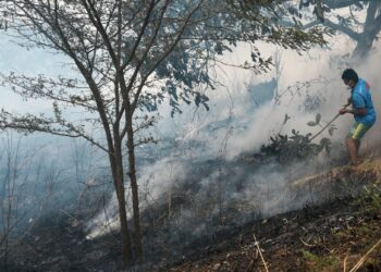 Why Less Land Is Burning Despite Wildfires Making Headlines