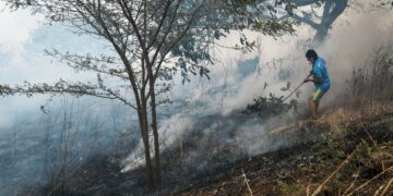 Why Less Land Is Burning Despite Wildfires Making Headlines