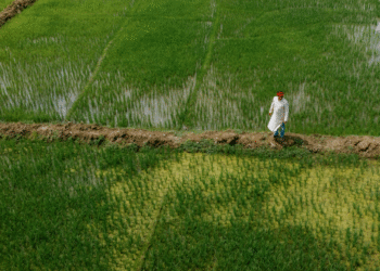 AI in Weather Forecasting: A Game Changer for Farmers
