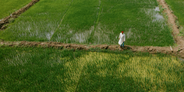AI in Weather Forecasting: A Game Changer for Farmers
