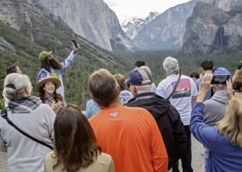 Record Visitor Numbers! How to Enjoy National Parks More
