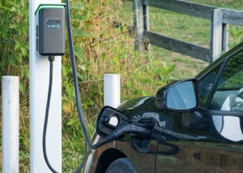 Trump’s EV Policy U-turn Harms Clean Electricity Goals