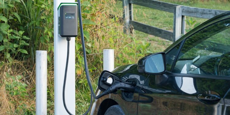 Trump’s EV Policy U-turn Harms Clean Electricity Goals