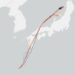 Flight Map Shows U.S. Monitors Possible North Korea Missile Launch