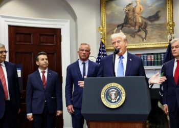 Democrat Plan: Health Care for ‘Illegal Immigrants’