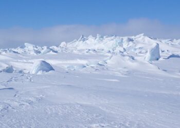 Walk on Thinning Ice: Alaska’s Arctic Sea Losses Revealed